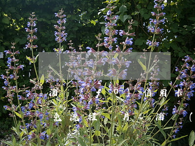 浦發(fā)信用卡協(xié)商還款減免流程圖片-浦發(fā)信用卡協(xié)商還款減免流程圖片大全