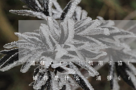浦發(fā)信用卡協(xié)商還款的條件是什么-浦發(fā)信用卡協(xié)商還款的條件是什么呢