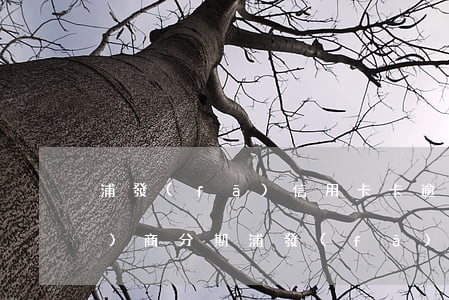 浦發(fā)信用卡卡逾期怎么協(xié)商分期(浦發(fā)信用卡卡逾期怎么協(xié)商分期利息)