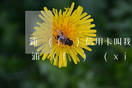 浦發(fā)信用卡叫我協(xié)商-浦發(fā)協(xié)商還款后必須要在銀行規(guī)定時間還嗎
