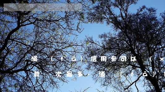 浦發(fā)信用卡可以協(xié)商還款幾次最多-浦發(fā)信信用卡逾期協(xié)商還款一次還能不能協(xié)商第二次