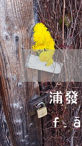 浦發(fā)信用卡可以透支多少錢(浦發(fā)銀行透支卡怎么收費(fèi))