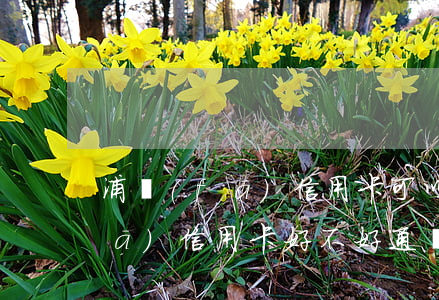 浦發(fā)信用卡可以透支用嗎(浦發(fā)信用卡好不好通過(guò))