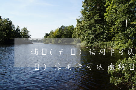 浦發(fā)信用卡可以逾期幾天(浦發(fā)信用卡可以逾期幾天還款)