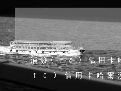浦發(fā)信用卡哈爾濱逾期名單(浦發(fā)信用卡哈爾濱逾期名單)