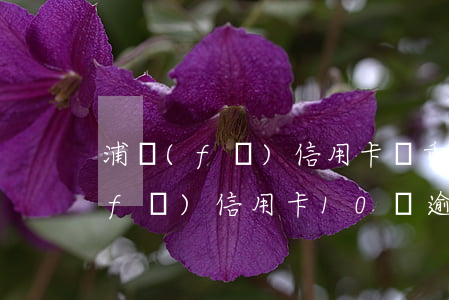 浦發(fā)信用卡嚴重逾期怎么辦(浦發(fā)信用卡10萬逾期六個月)