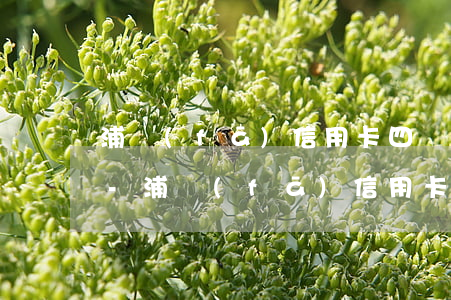 浦發(fā)信用卡四萬逾期一年會怎么樣-浦發(fā)信用卡四萬逾期一年會怎么樣嗎