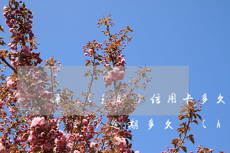 浦發(fā)信用卡多久還款算逾期(浦發(fā)逾期多久會(huì)要求一次性還全部欠款)