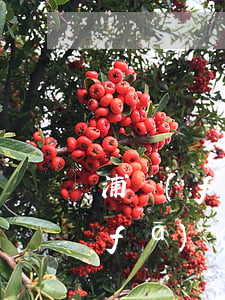 浦發(fā)信用卡多少天后算逾期(浦發(fā)信用卡 到期)