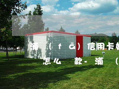 浦發(fā)信用卡好協(xié)商分期嗎怎么還款-浦發(fā)信用卡好協(xié)商分期嗎怎么還款的