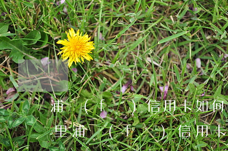 浦發(fā)信用卡如何把逾期費用退回卡里（浦發(fā)信用卡如何把逾期費用退回）