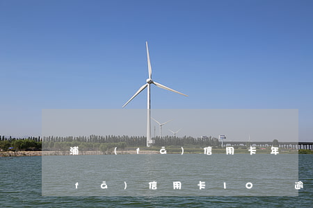 浦發(fā)信用卡年費逾期怎么辦(浦發(fā)信用卡10萬逾期六個月)