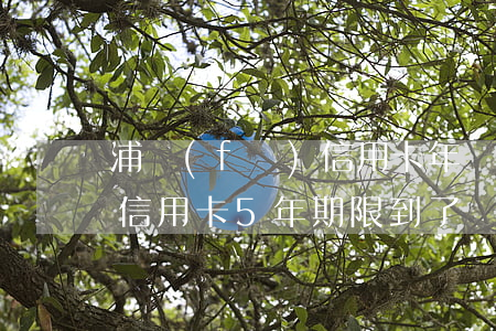 浦發(fā)信用卡年費逾期(浦發(fā)信用卡5年期限到了)