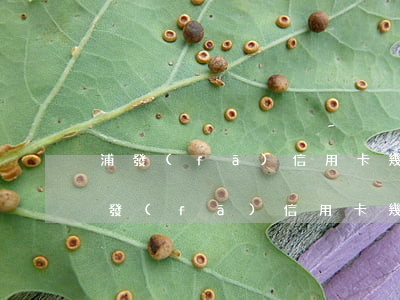 浦發(fā)信用卡幾十塊錢逾期兩天了（浦發(fā)信用卡幾十塊錢逾期兩天）