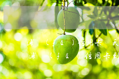 浦發(fā)信用卡幾天會(huì)逾期(浦發(fā)信用卡 到期)