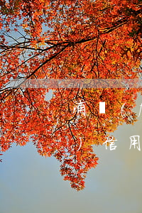 浦發(fā)信用卡幾天算逾期(浦發(fā)信用卡逾期費(fèi)用怎么算不是不能超過(guò)一個(gè)界限)