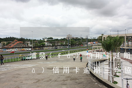 浦發(fā)信用卡延期還款逾期(浦發(fā)信用卡逾期三年協(xié)商還款)