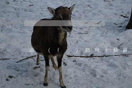 浦發(fā)信用卡快逾期了怎么辦