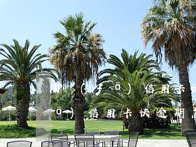 浦發(fā)信用卡快逾期怎么辦(浦發(fā)信用卡快逾期怎么辦)