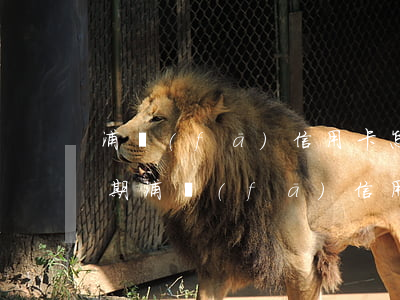 浦發(fā)信用卡怎么協(xié)商分期(浦發(fā)信用卡如何協(xié)商分期還款)