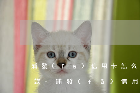 浦發(fā)信用卡怎么協(xié)商還款-浦發(fā)信用卡怎么協(xié)商還款60期