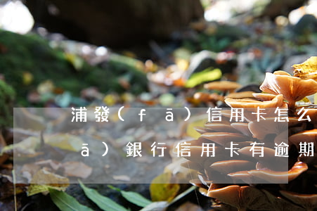 浦發(fā)信用卡怎么樣算逾期(浦發(fā)銀行信用卡有逾期怎么辦)
