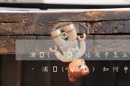 浦發(fā)信用卡怎么申請停息掛賬上海-浦發(fā)如何申請停息掛賬