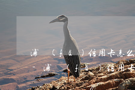 浦發(fā)信用卡怎么看還有多少錢沒還-浦發(fā)信用卡怎么看還有多少錢沒還