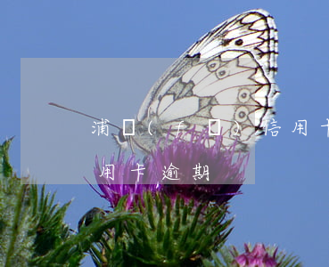 浦發(fā)信用卡怎么知道逾期(怎樣看信用卡逾期)