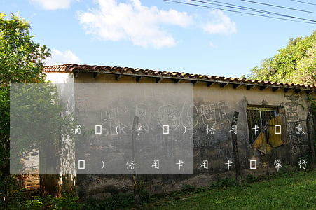 浦發(fā)信用卡惡意透支案件(浦發(fā)信用卡用卡異常行為)