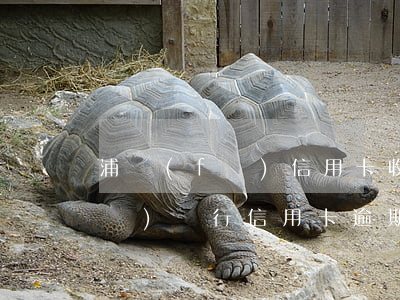 浦發(fā)信用卡收到逾期提醒(浦發(fā)銀行信用卡逾期幾天內(nèi)沒事)
