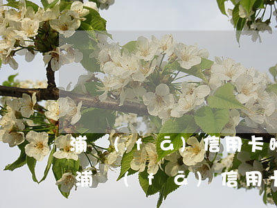 浦發(fā)信用卡晚了4天還款算逾期-浦發(fā)信用卡晚了4天還款算逾期嗎