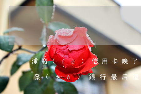 浦發(fā)信用卡晚了4天還款算逾期(浦發(fā)銀行最后還款日第二天還款算逾期嗎)