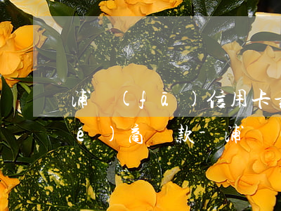 浦發(fā)信用卡最低還款怎么協(xié)商還款-浦發(fā)信用卡最低還款怎么協(xié)商還款的