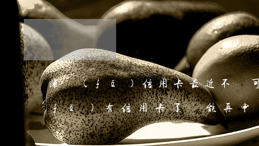 浦發(fā)信用卡最近不還可以嗎(浦發(fā)有信用卡了還能再申請嗎)