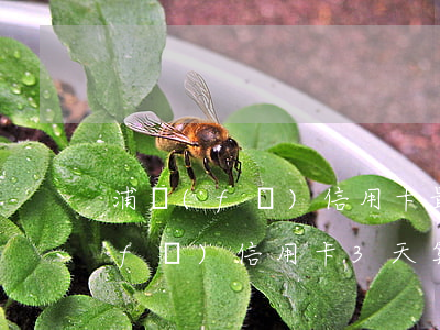 浦發(fā)信用卡最長是逾期多久(浦發(fā)信用卡3天算逾期嗎)