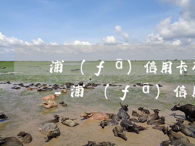 浦發(fā)信用卡有9萬多逾期了怎么辦-浦發(fā)信用卡有9萬多逾期了怎么辦呢