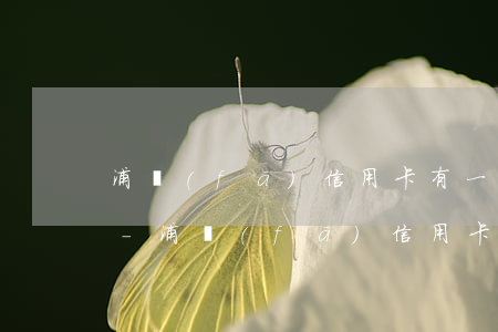 浦發(fā)信用卡有一次逾期記錄怎么辦-浦發(fā)信用卡有一次逾期記錄怎么辦理