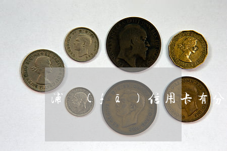 浦發(fā)信用卡有分期免息