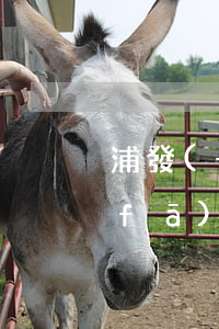 浦發(fā)信用卡有沒有透支額度(浦發(fā)銀行的信用卡額度高嗎)