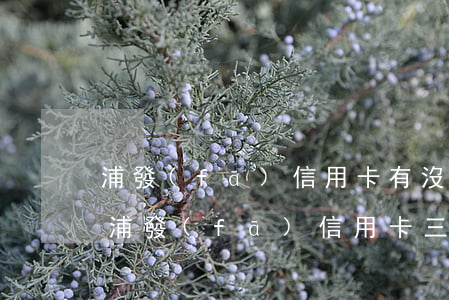 浦發(fā)信用卡有沒有逾期三年的-欠浦發(fā)信用卡三萬元逾期幾個(gè)月會(huì)被起訴呢