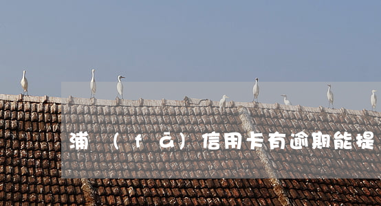 浦發(fā)信用卡有逾期能提額嗎