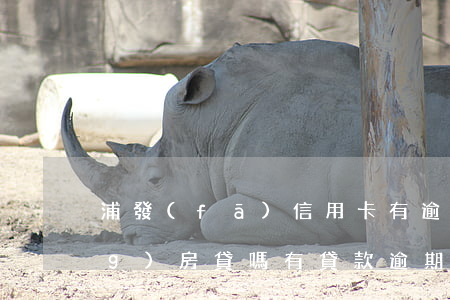 浦發(fā)信用卡有逾期能申請(qǐng)房貸嗎(有貸款逾期可以申請(qǐng)信用卡嗎)
