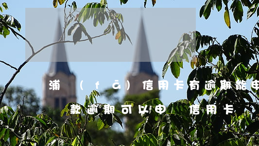 浦發(fā)信用卡有逾期能申請房貸嗎(有貸款逾期可以申請信用卡嗎)