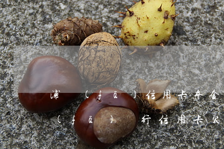 浦發(fā)信用卡本金五萬逾期(上海浦發(fā)銀行信用卡欠款五萬逾期三個月)