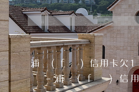 浦發(fā)信用卡欠13萬無力償還怎么辦-浦發(fā)信用卡欠13萬無力償還怎么辦呢