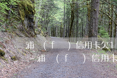 浦發(fā)信用卡欠15萬不還會怎么樣-浦發(fā)信用卡欠15萬不還會怎么樣呢