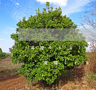 浦發(fā)信用卡欠18萬還不上怎么辦-浦發(fā)信用卡欠18萬還不上怎么辦呢