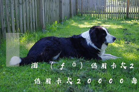 浦發(fā)信用卡欠20w(浦發(fā)信用卡欠20000每月最低還多少)