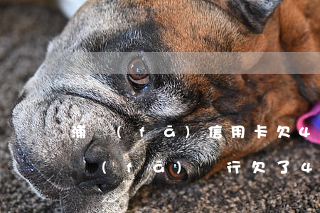 浦發(fā)信用卡欠4萬(wàn)多 浦發(fā)銀行欠了4萬(wàn),現(xiàn)要一次性還,沒(méi)錢(qián)還怎么辦